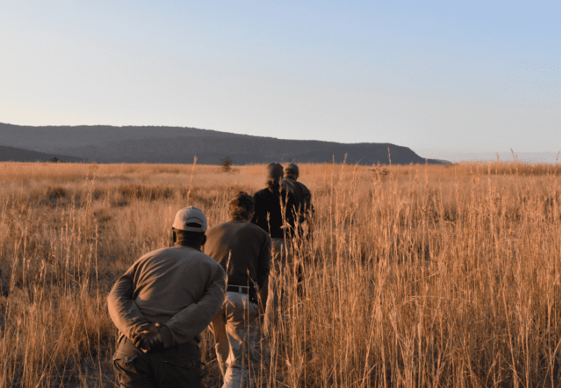 Anti-Poaching Patrols